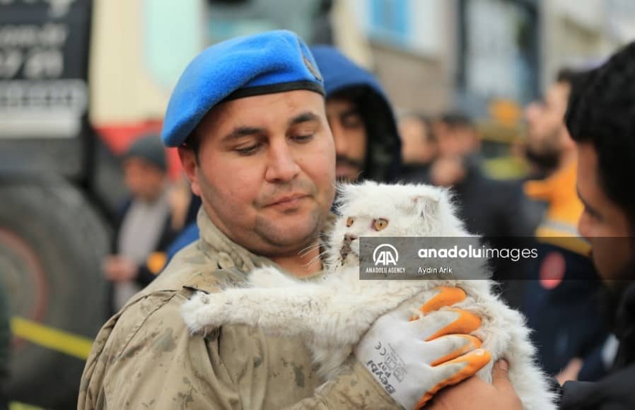 turkish officer holding a cat after earthquake