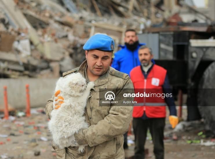 turkish officer saving a cat under the ruins
