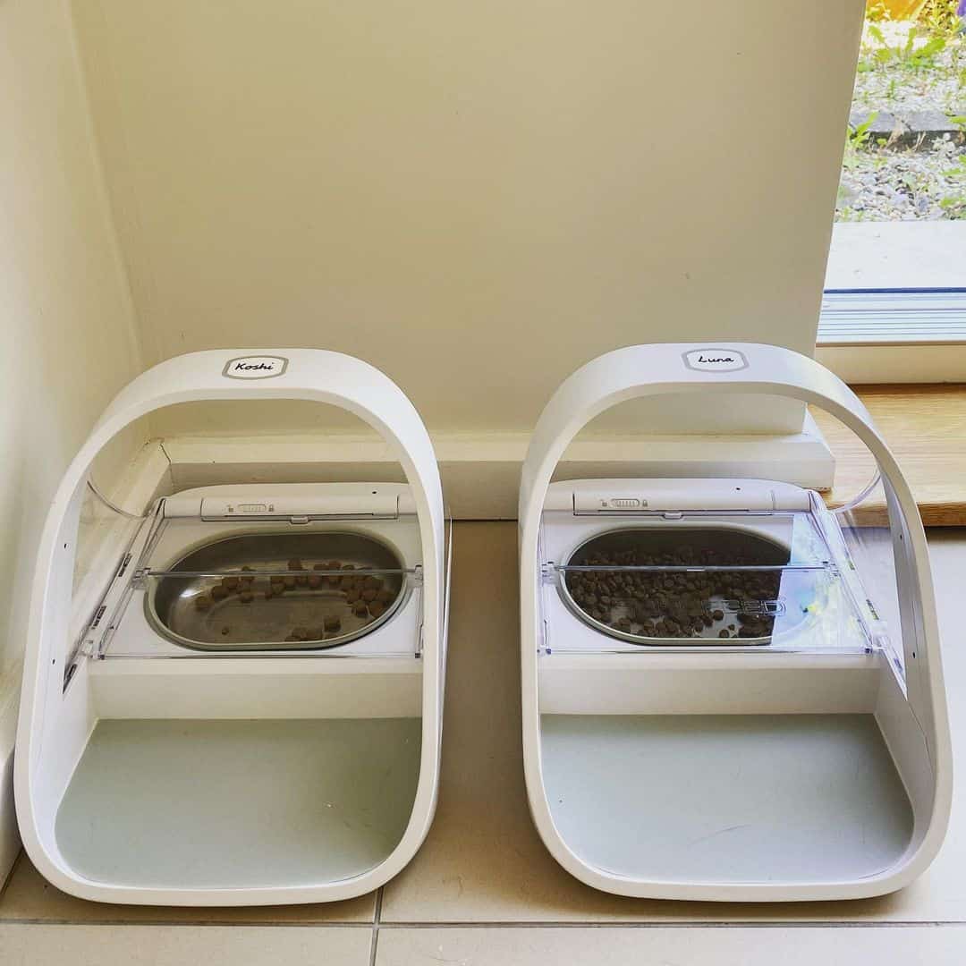 two SureFeed Microchip Pet Feeders