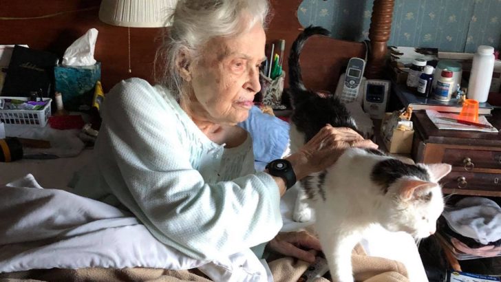 20-Year-Old Cat Winds Up At Shelter Where 101-Year-Old Lady Adopts Him