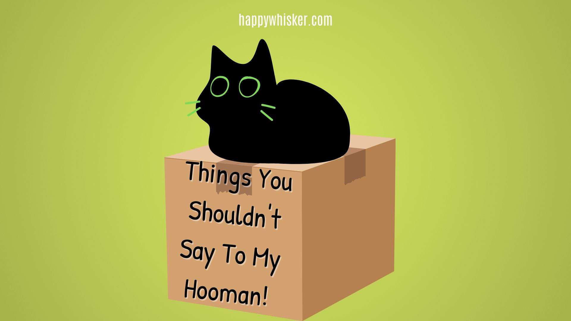 Things You Shouldn’t Say To A Cat Parent