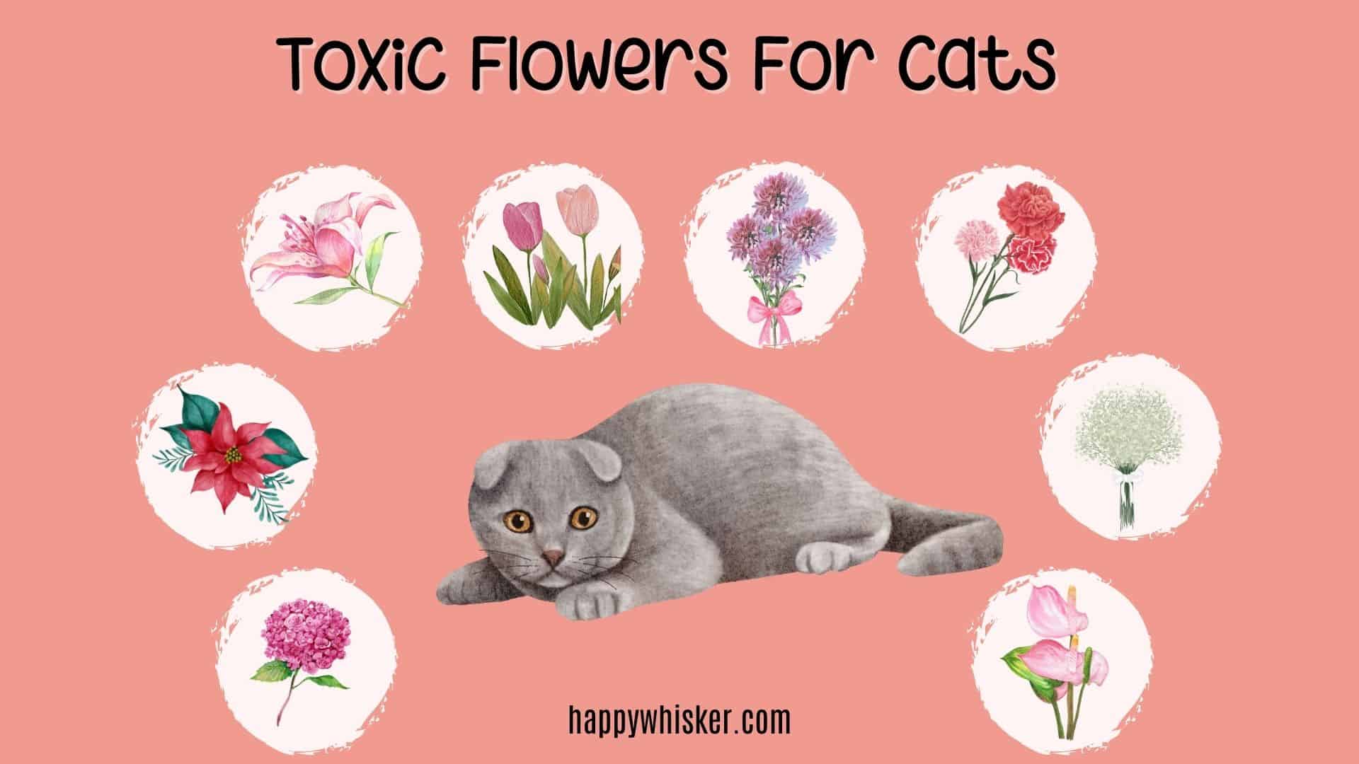 illustration of a cat surrounded by toxic flowers