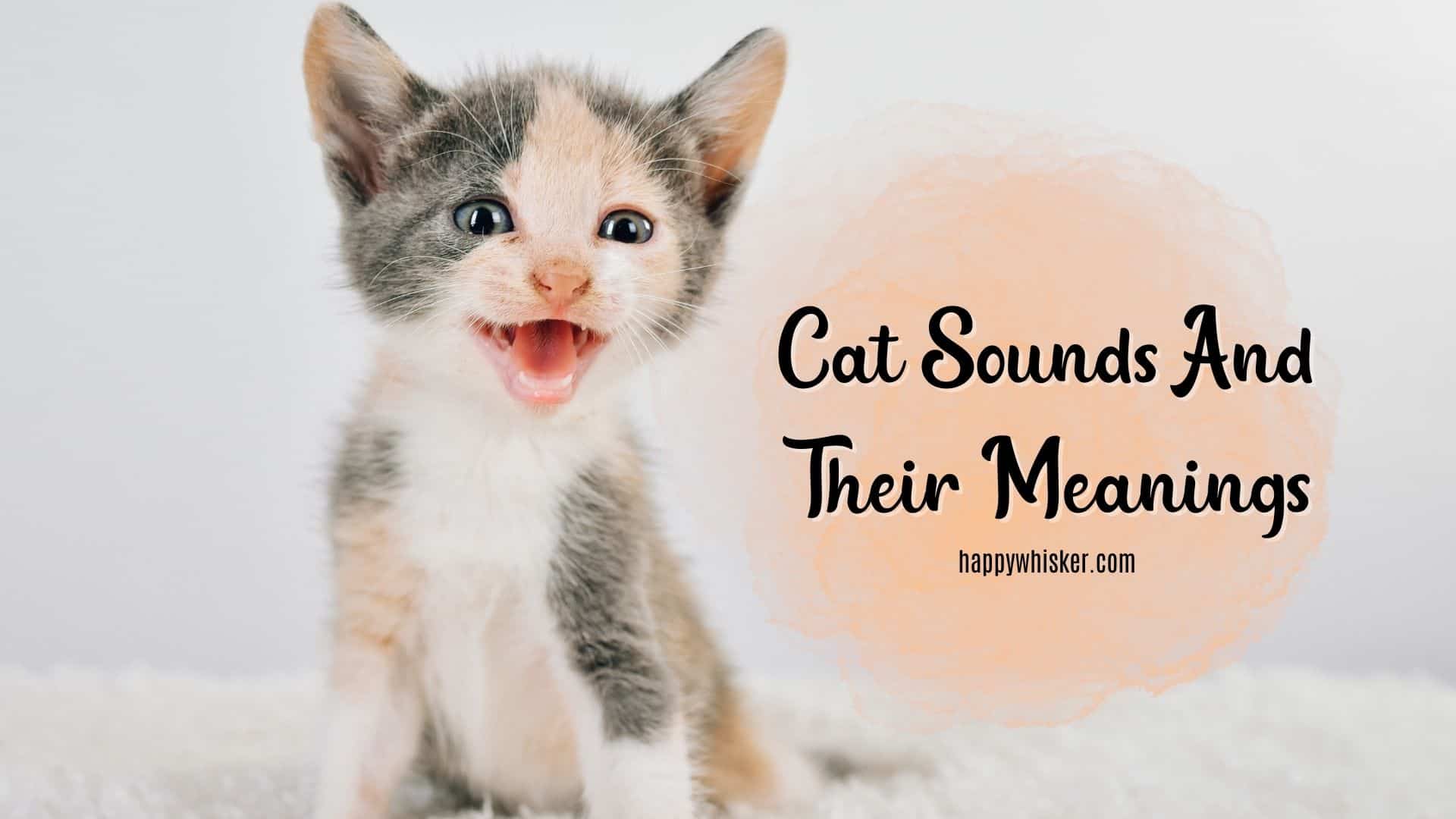 cute kitten producing a sound