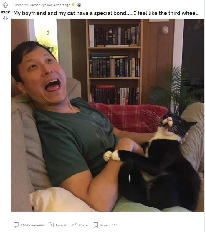a man sits on a couch and laughs with a cat