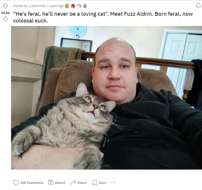a man takes a picture with a cat