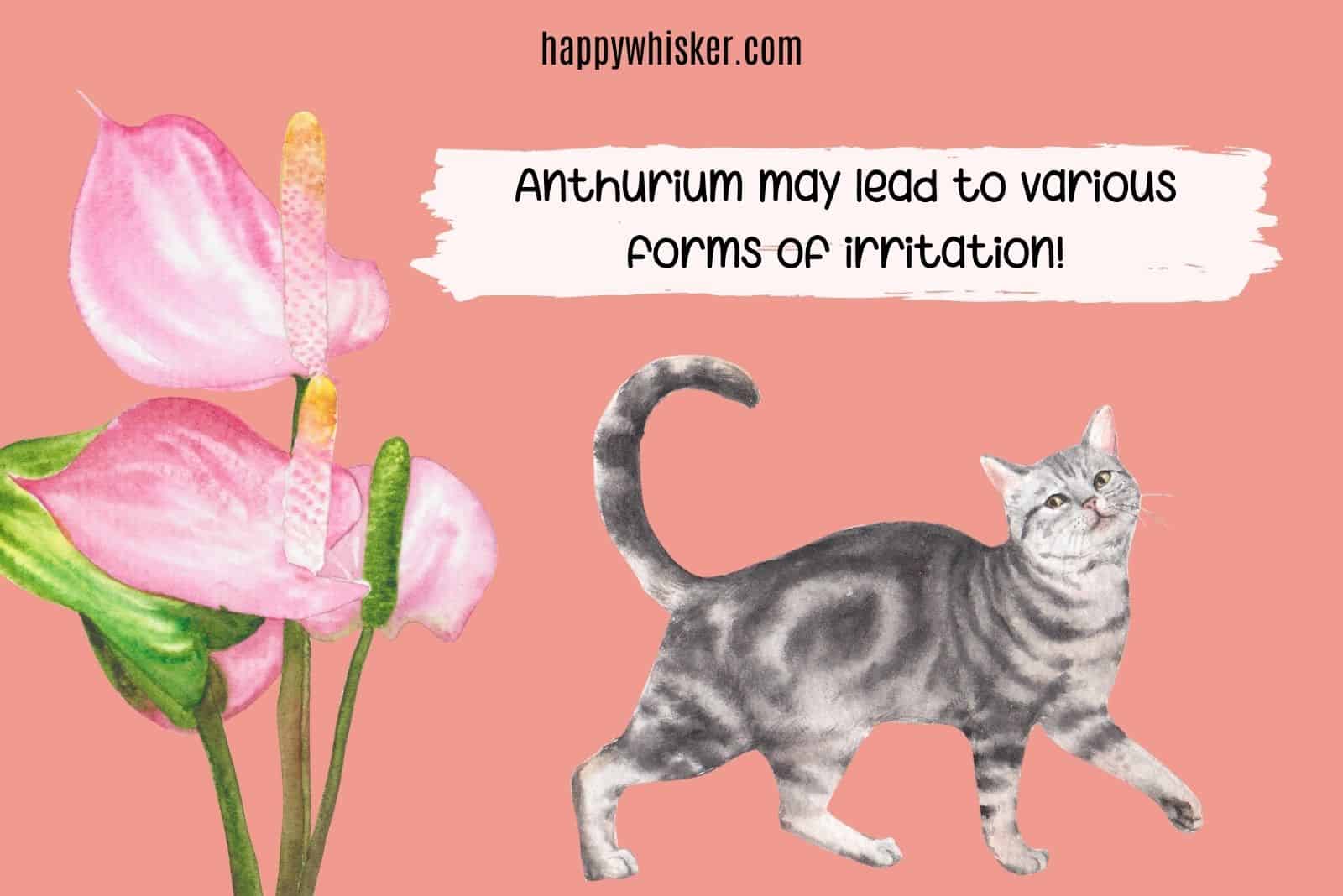 anthurium could lead to irritation for cats