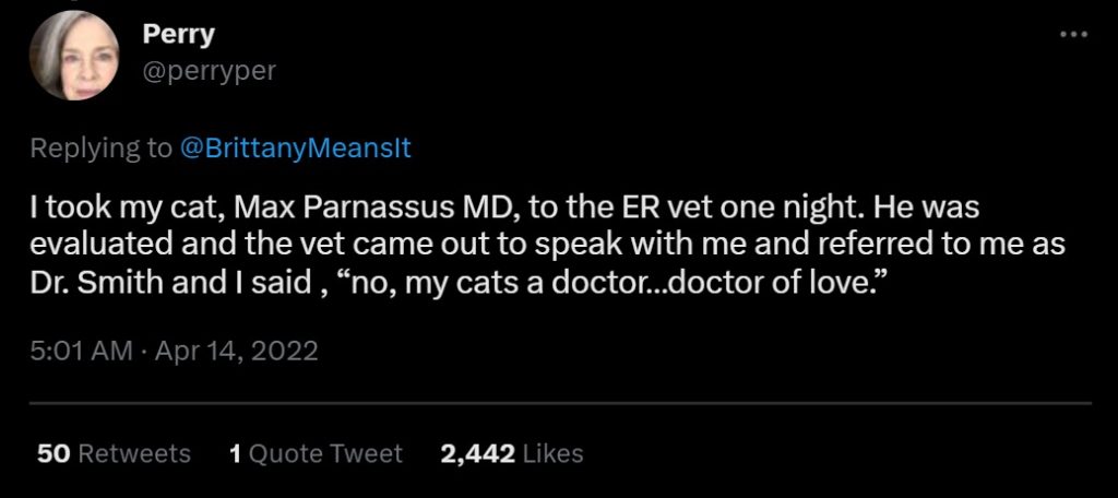 hilarious cat name Max Parnassus MD
