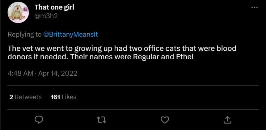 hilarious story of a cat named Regular