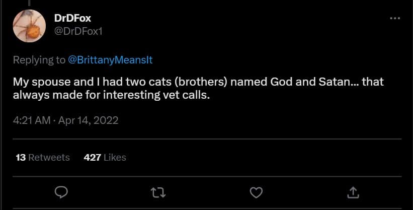hilarious story of two cats named God and Satan