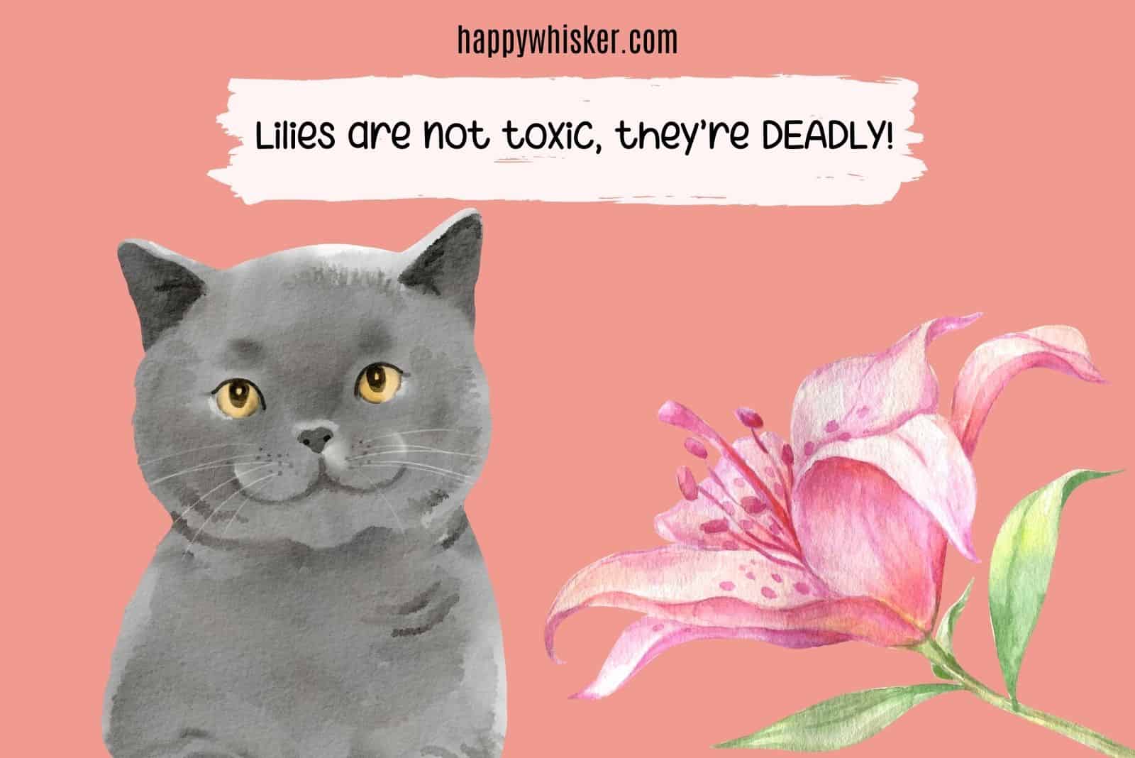 lillies, toxic flowers for cats