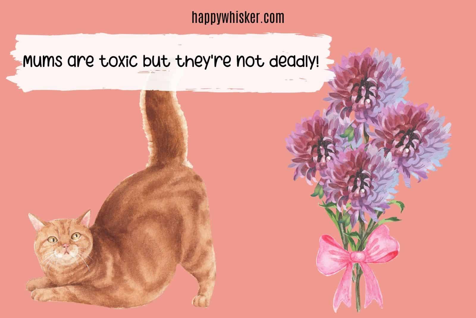 mums are toxic flowers for cats