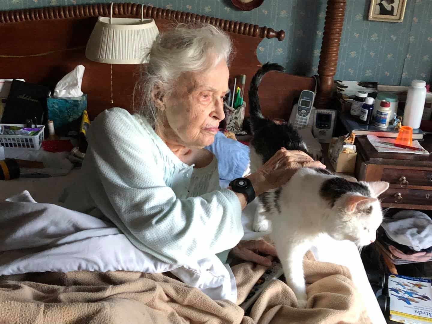 old granny laying in bed with cat