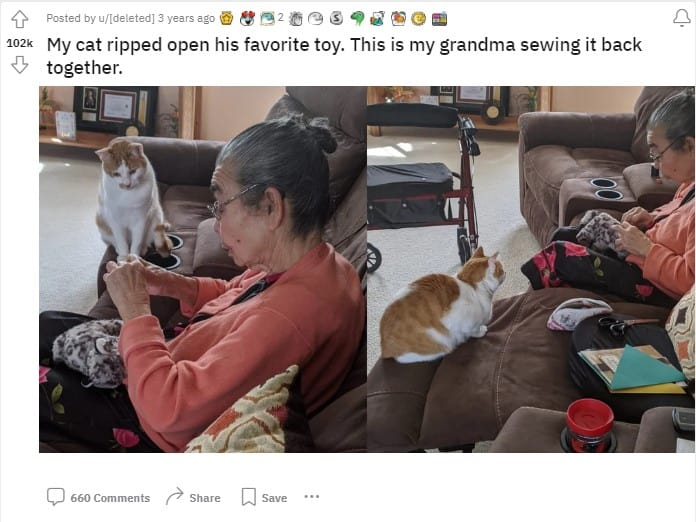 the cat follows what grandma is doing