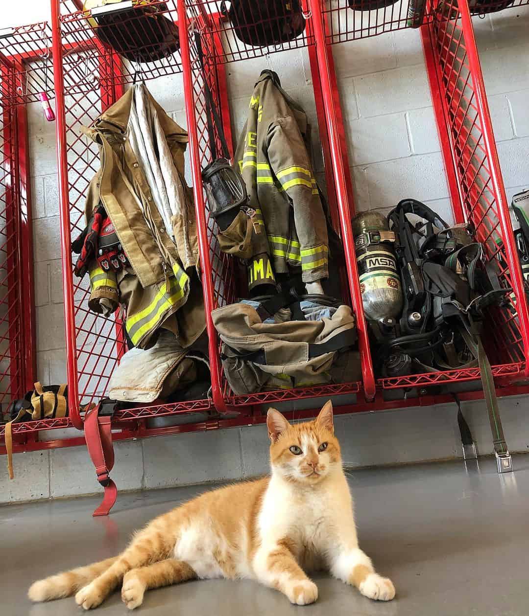 the cat is sitting on the floor under the fireman's clothes