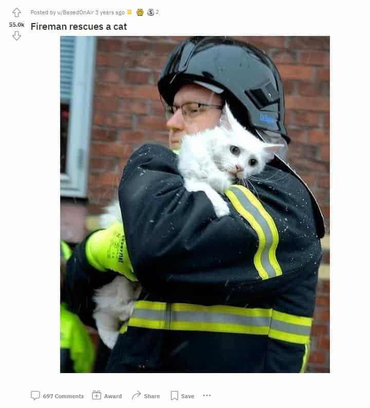 the fireman is holding a cat in his arms