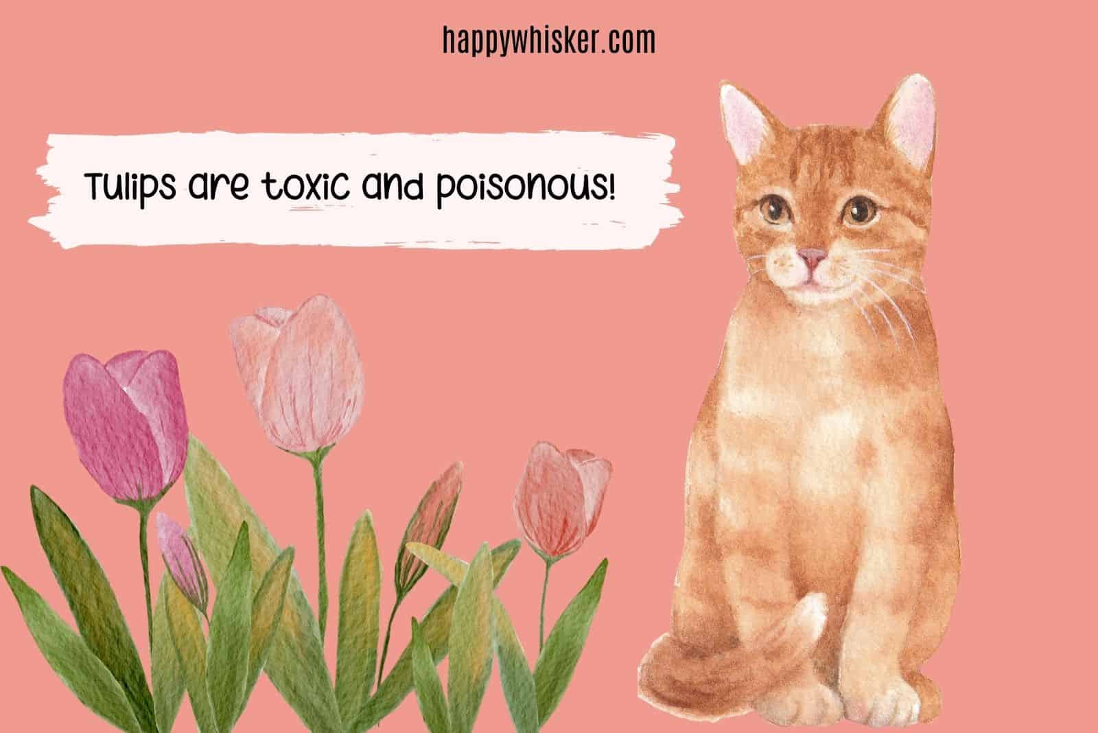 tulips are toxic for cats