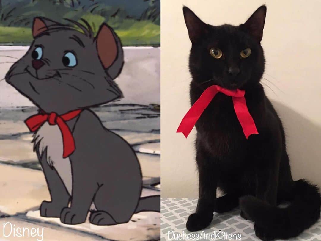 what does a black cat look like in disney