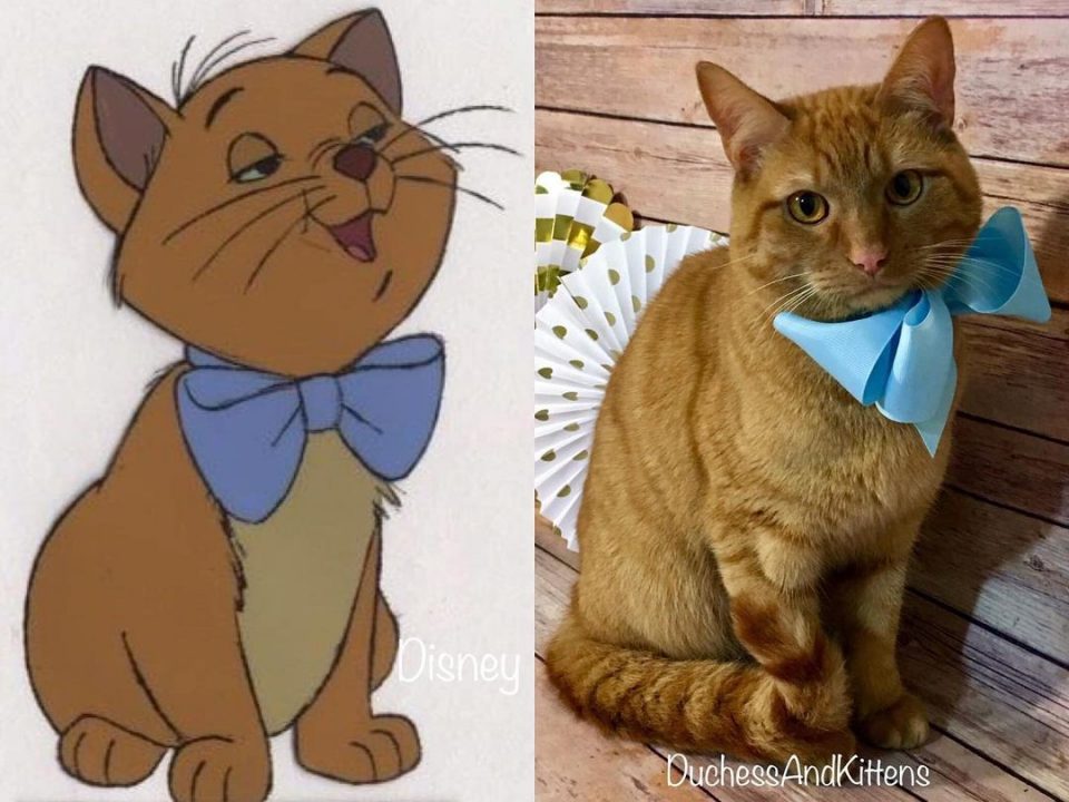 A Cat Named Duchess Gave Birth To Kittens Who Look Just Like Aristocats