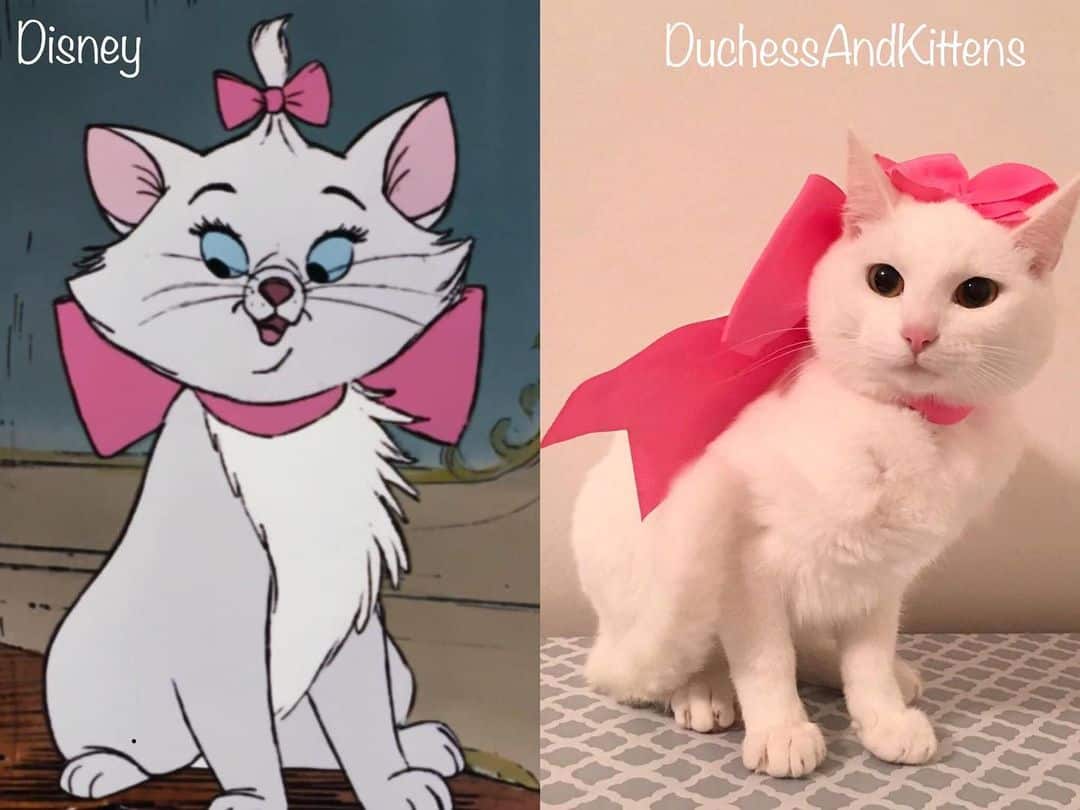 what does a white cat look like in disney