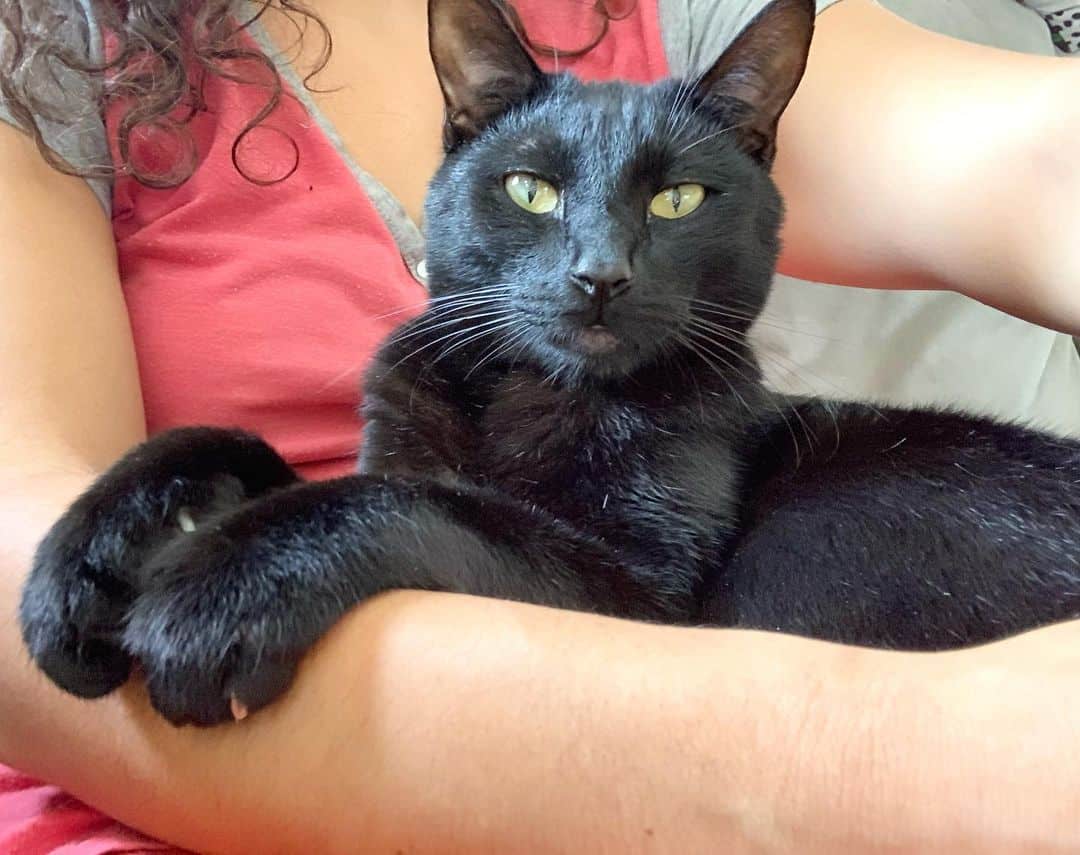 woman holding black cat