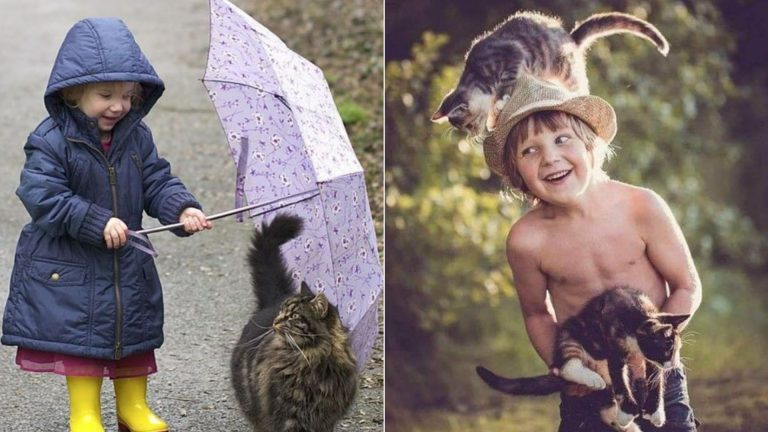 kids with cats playing