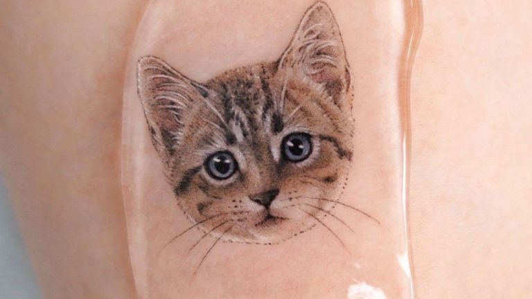 cute cat tattoo