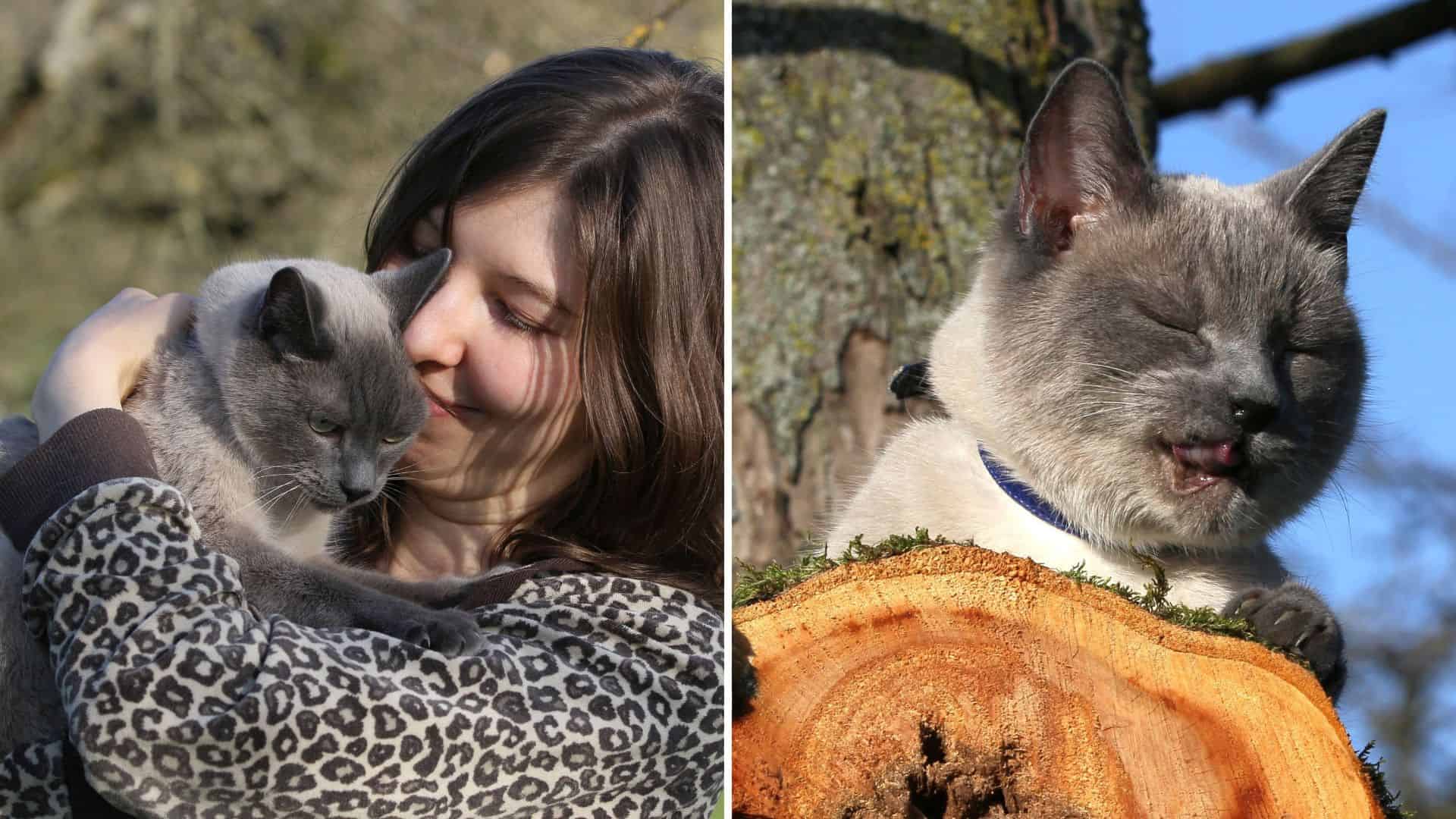 the girl is holding a cat in her arms