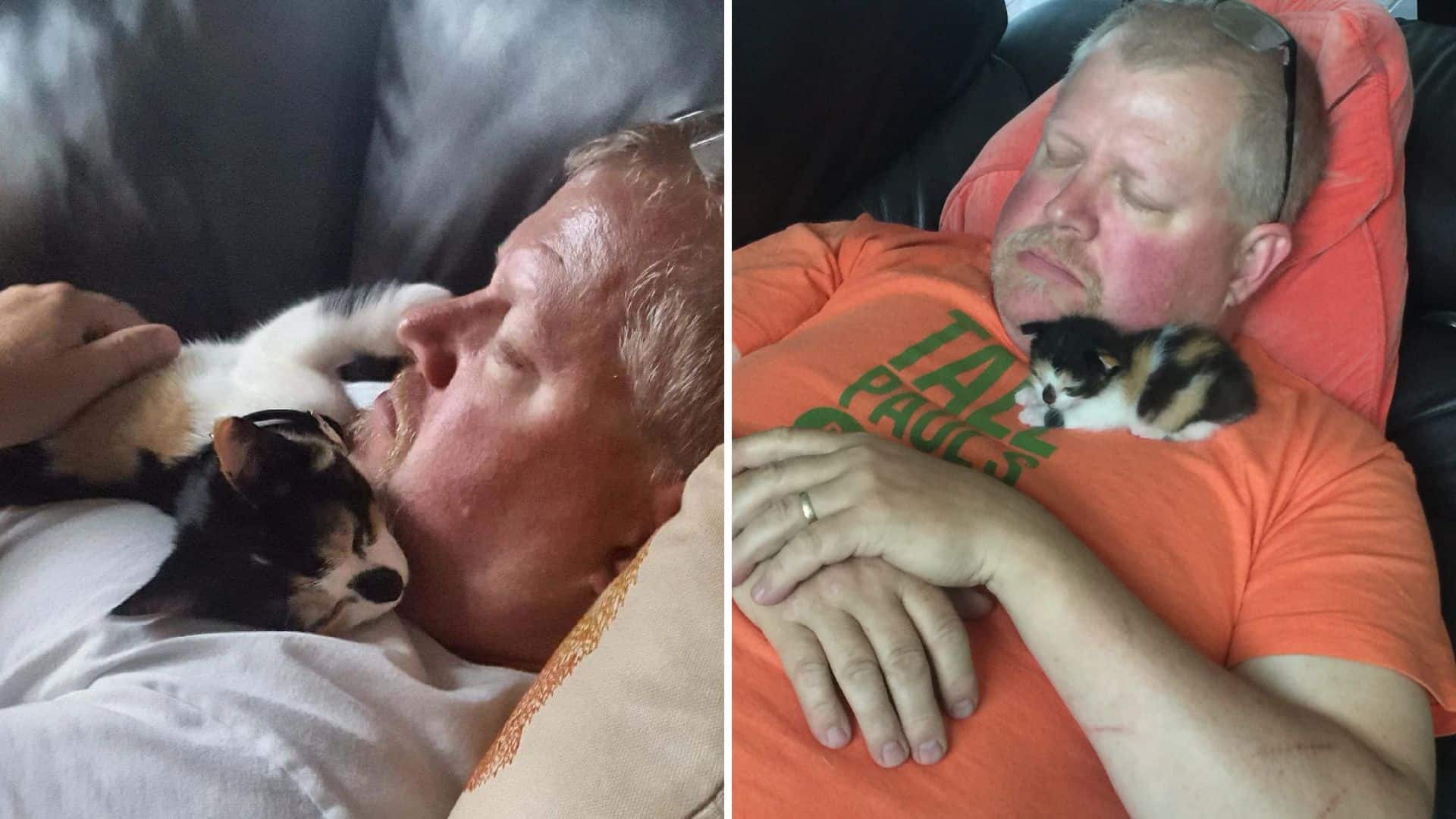 photo of cats sleeping on their owners