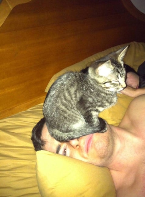 a cat sits on a man's head