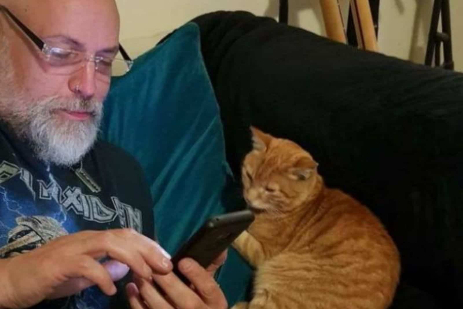 cat sits next to man as he types on phone