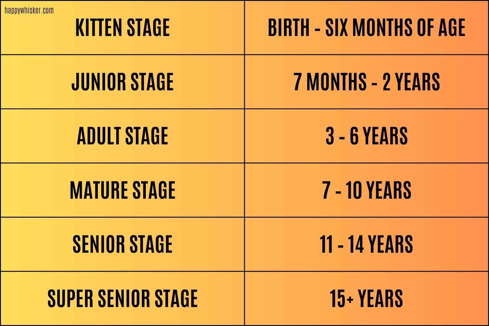 cat stages