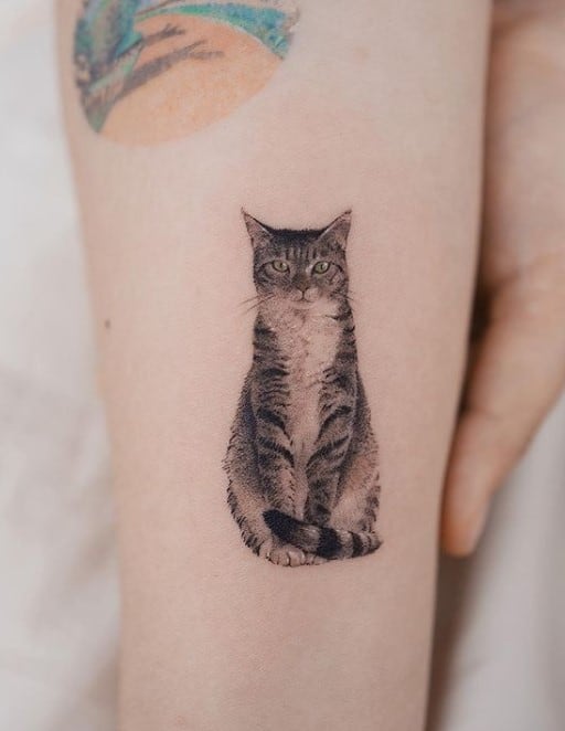 sitting cat tattoo