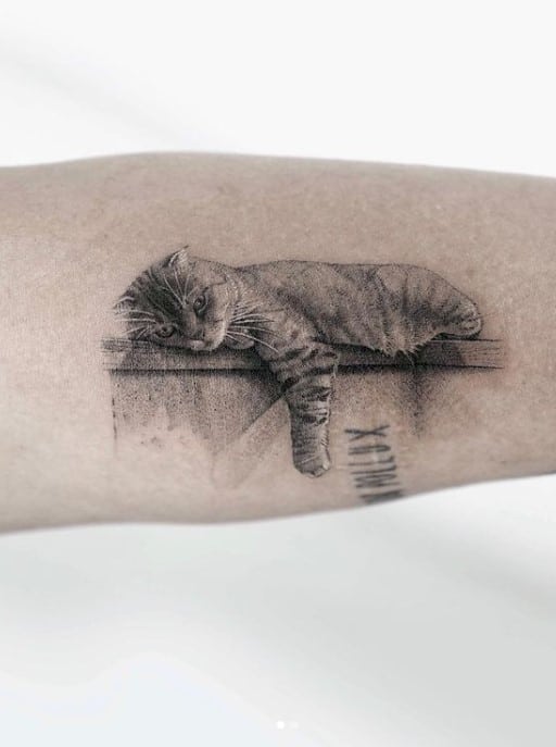 tattoo of a cat lying on a desk