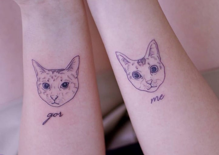 two cat tattoos