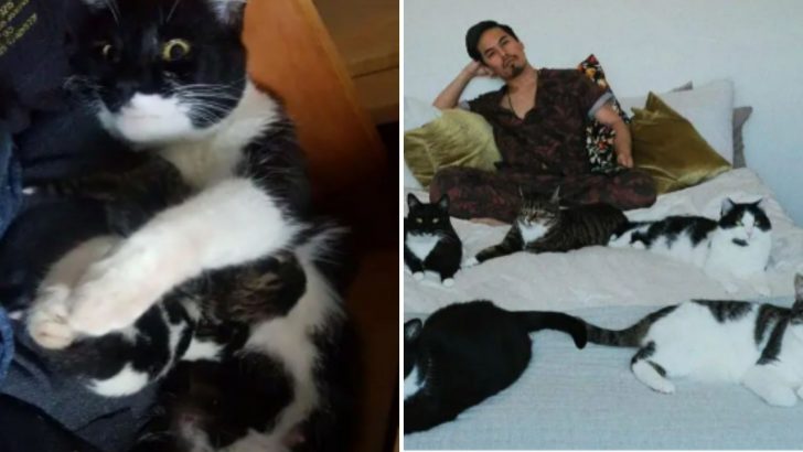 Man Shocked To Find A Mysterious Cat in His Bedroom But The Real Surprise Is Yet To Come