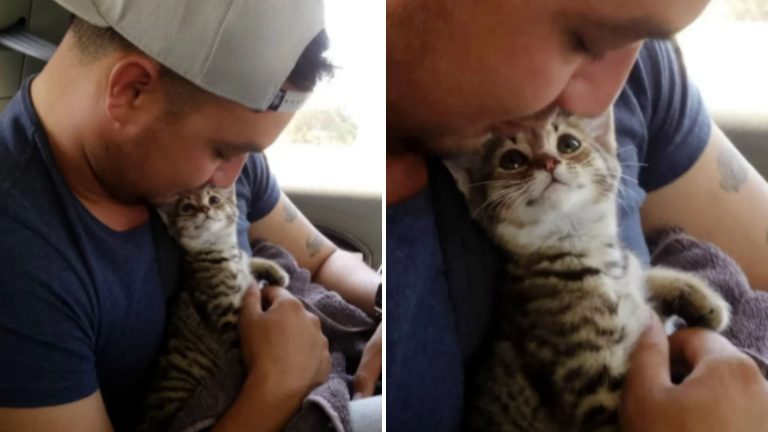 young man snuggling with kitten