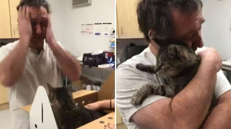 reunited man with cat