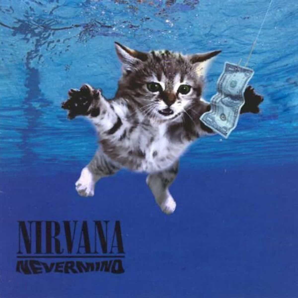Nevermind cover in cat edition