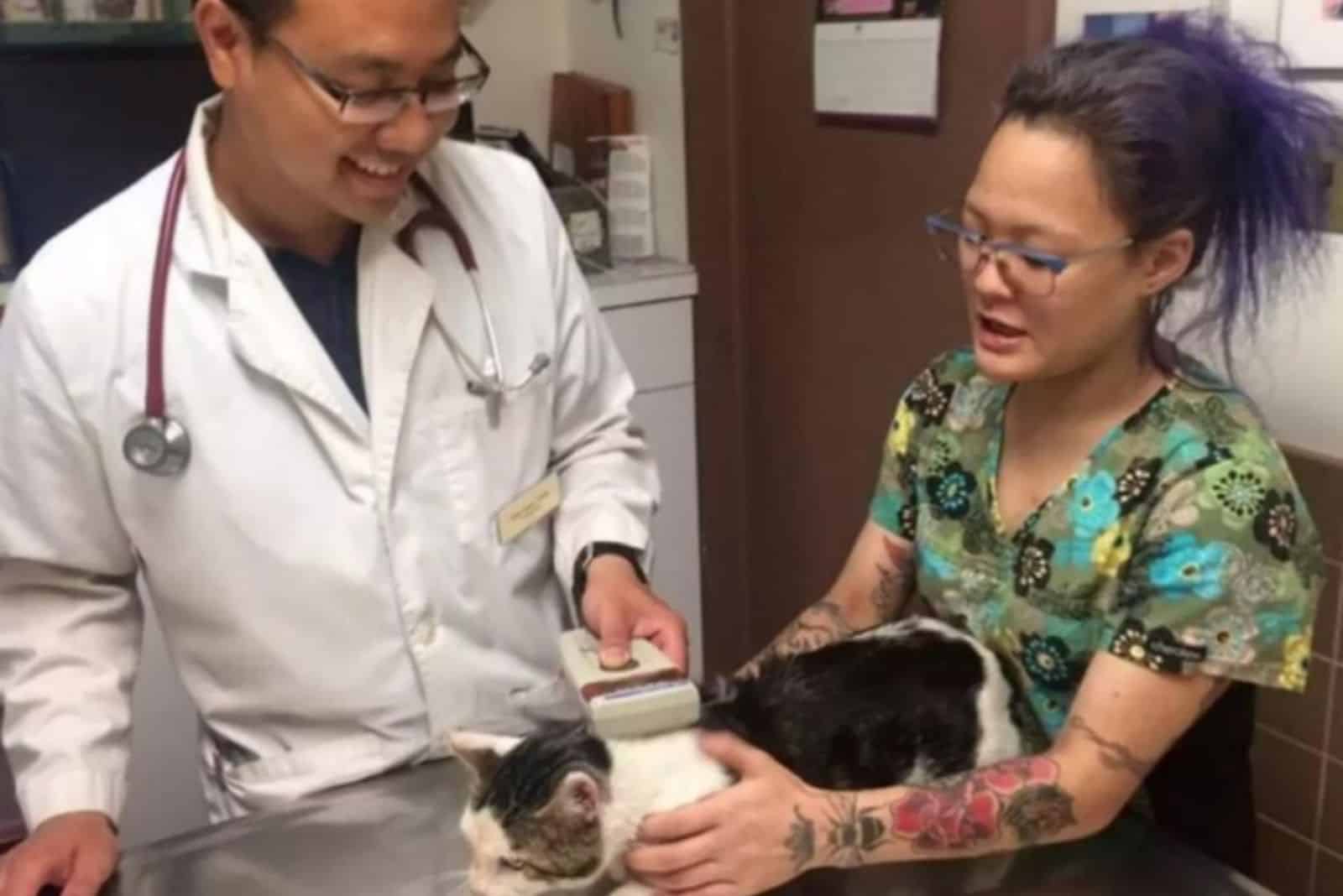 Nostrand receiving veterinary care