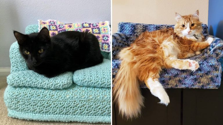 people are crocheting tiny couches for cats