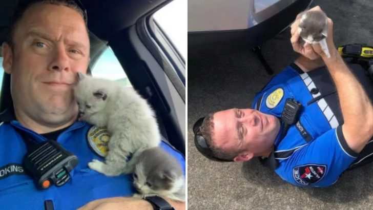Police Officer Rescues Two Adorable Kittens And They Won’t Stop Cuddling With Him