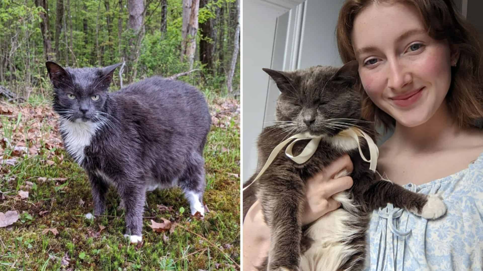 a rescued cat in the arms of a woman