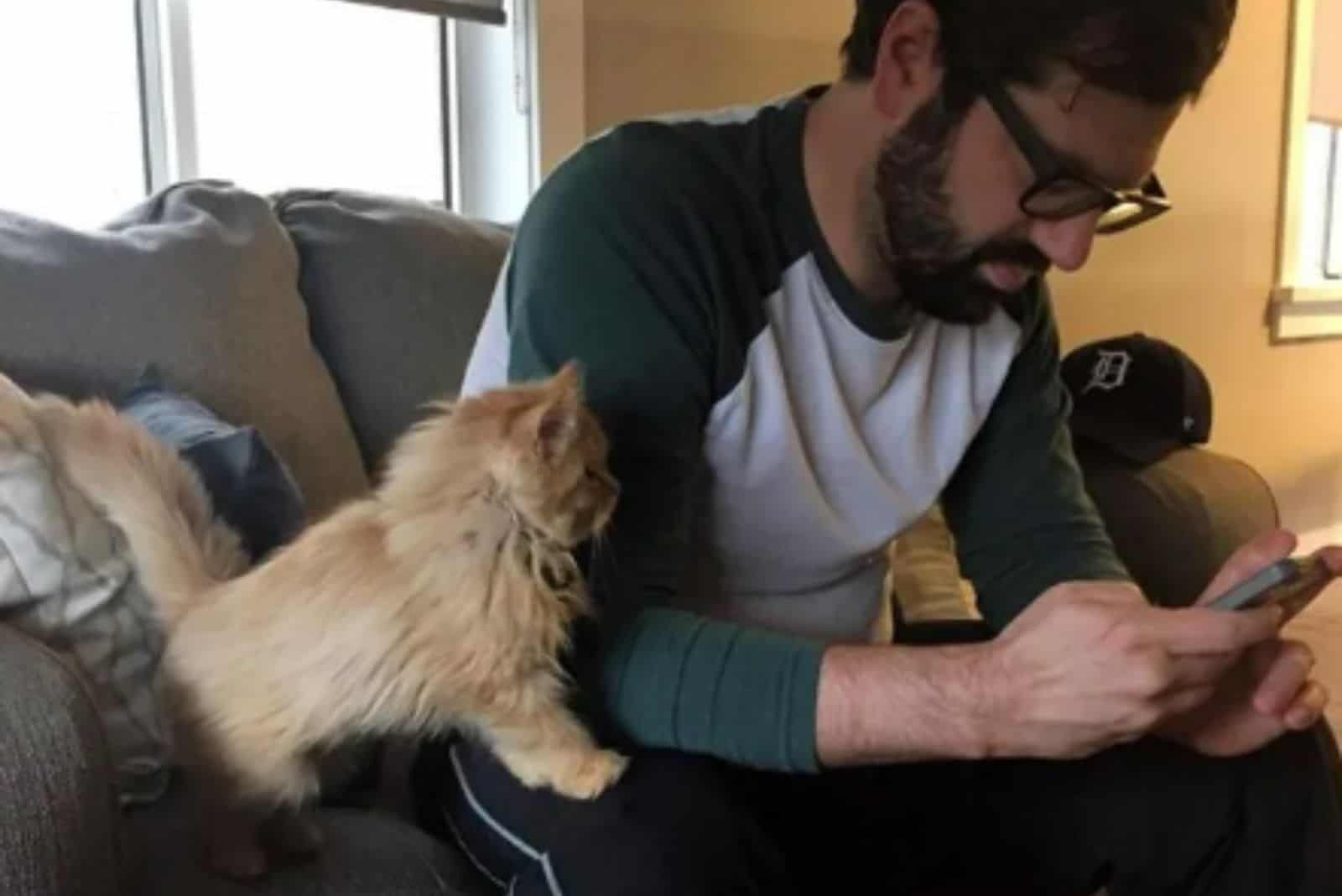 adopted kitten follows its owner
