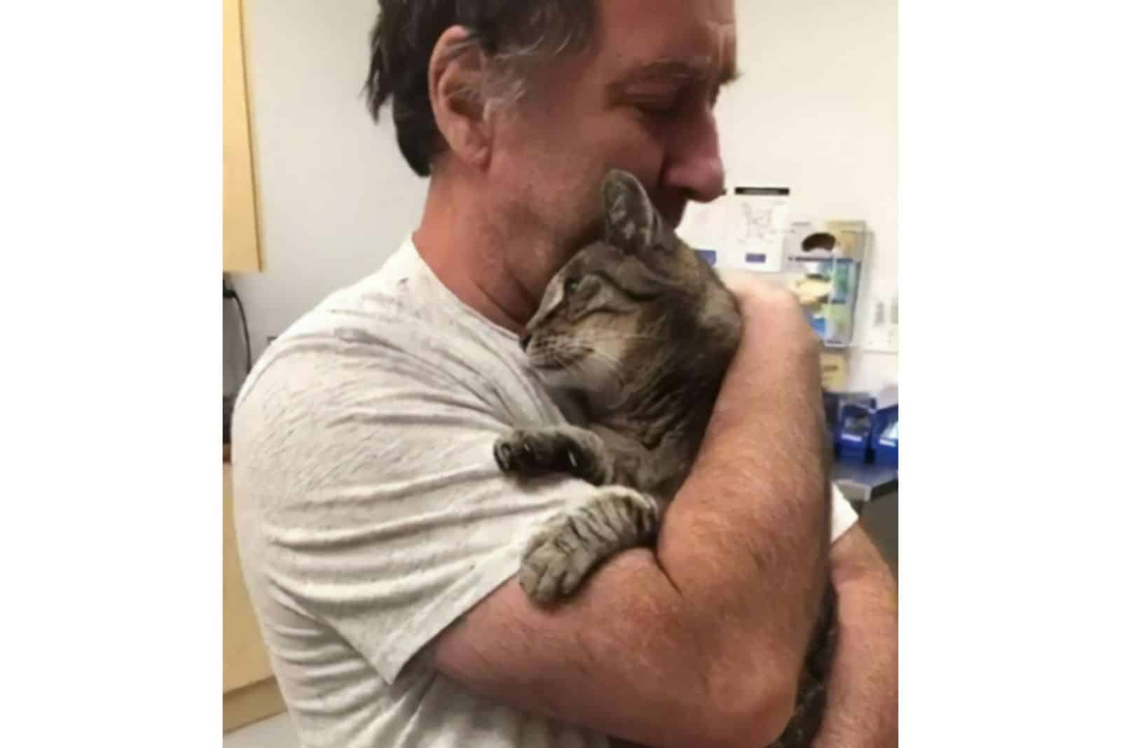 cat in mans hug