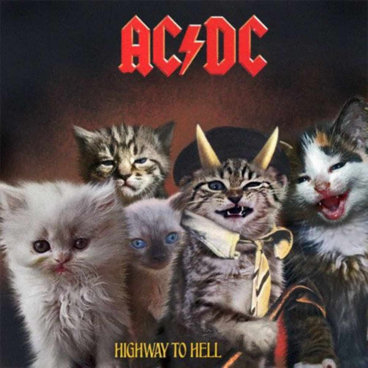 cat version of ac dc album