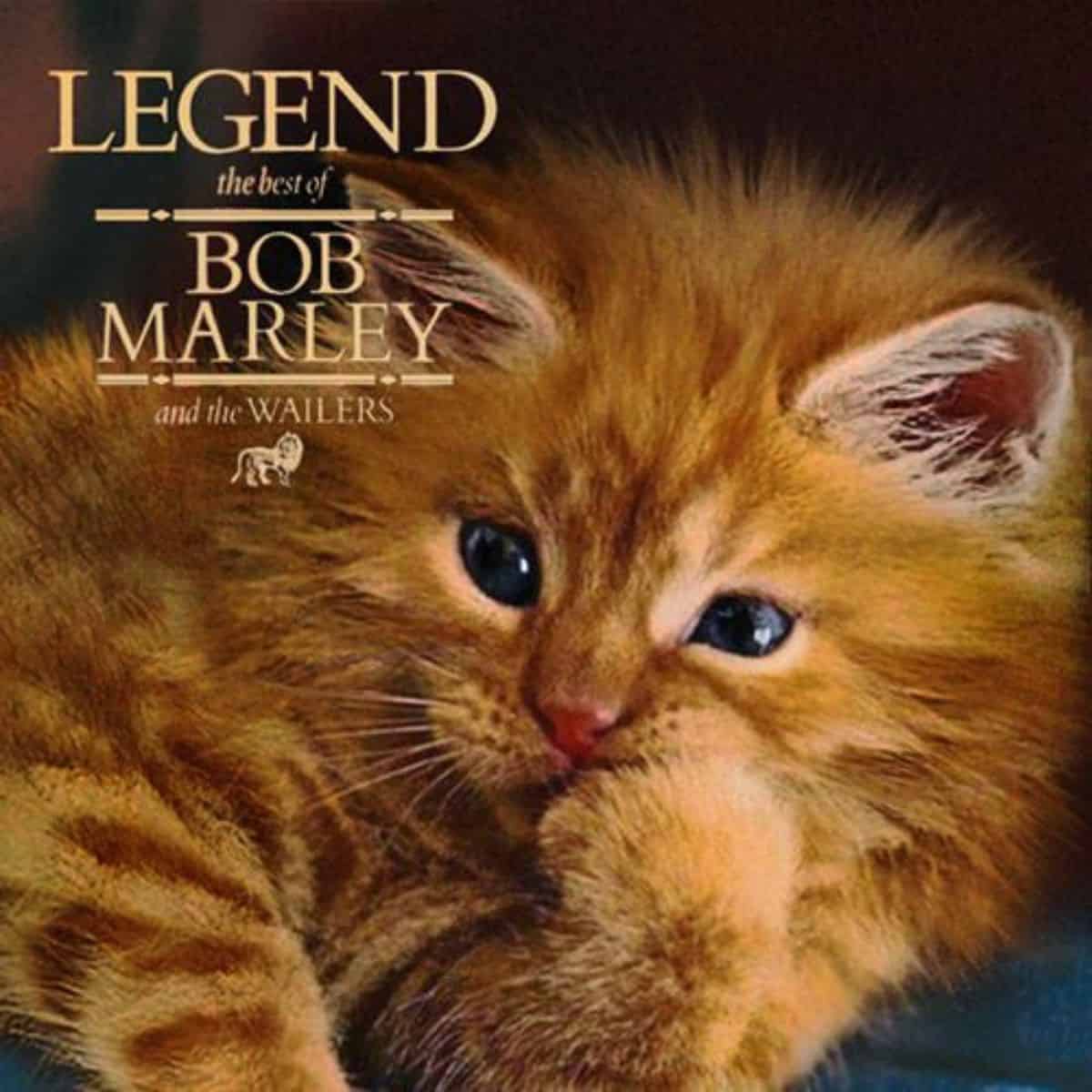 cat version of bob marley's album cover
