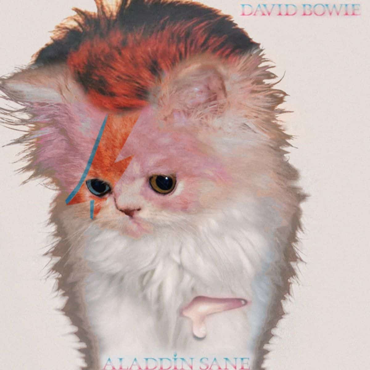 cat version of bowie's cover