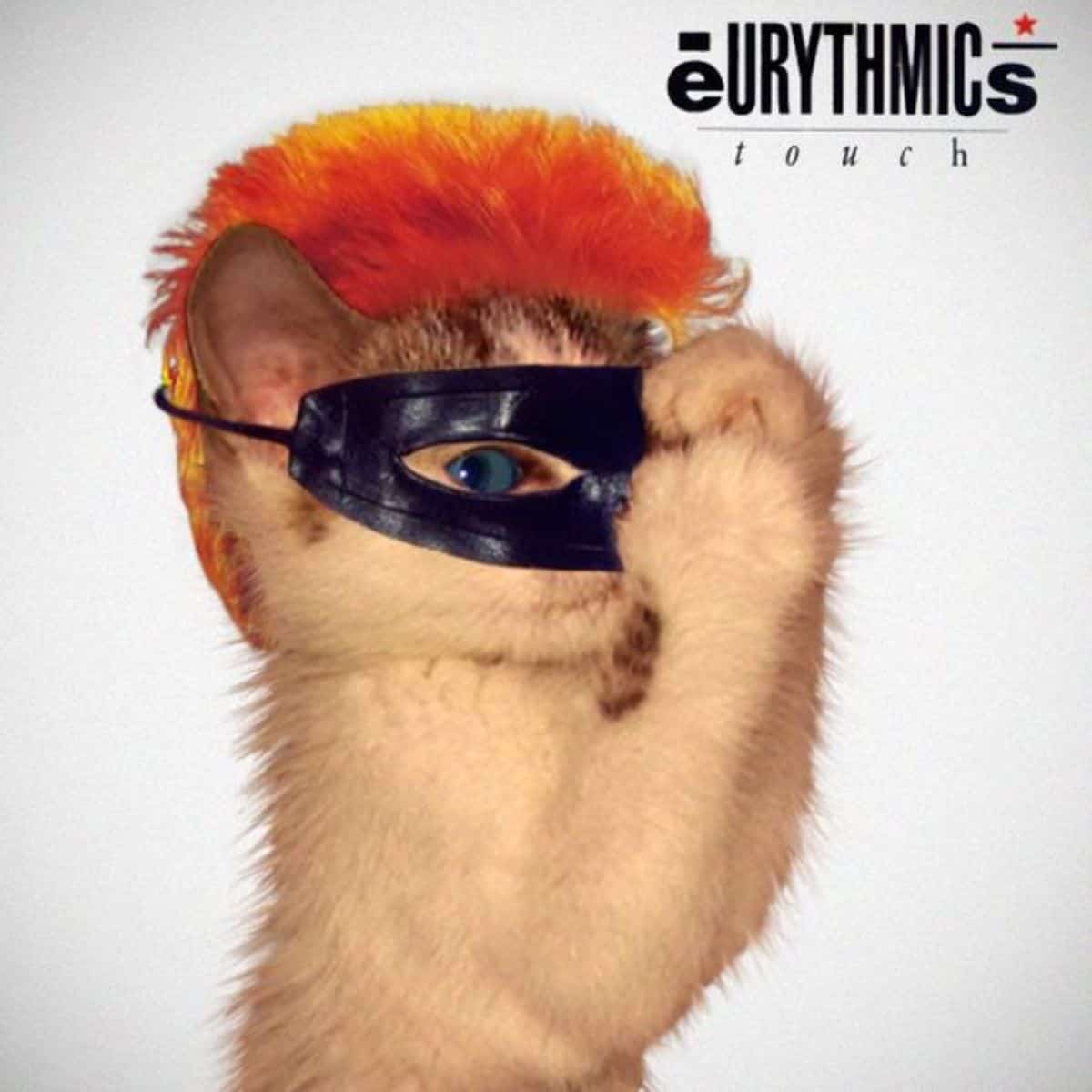 cat version of eurythmics' album cover