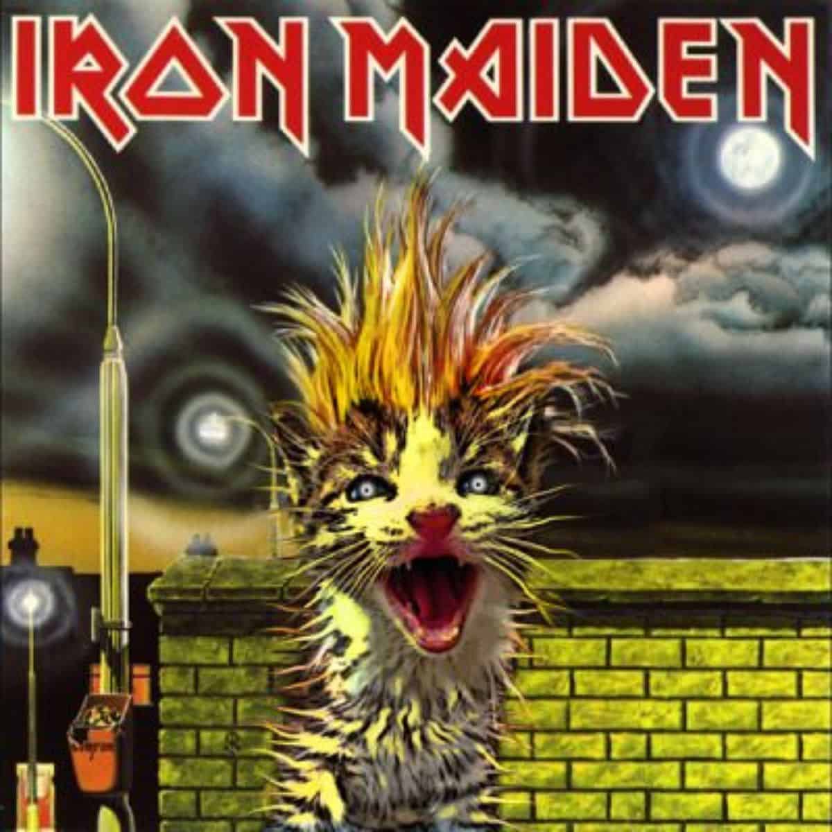 cat version of iron maiden's album cover