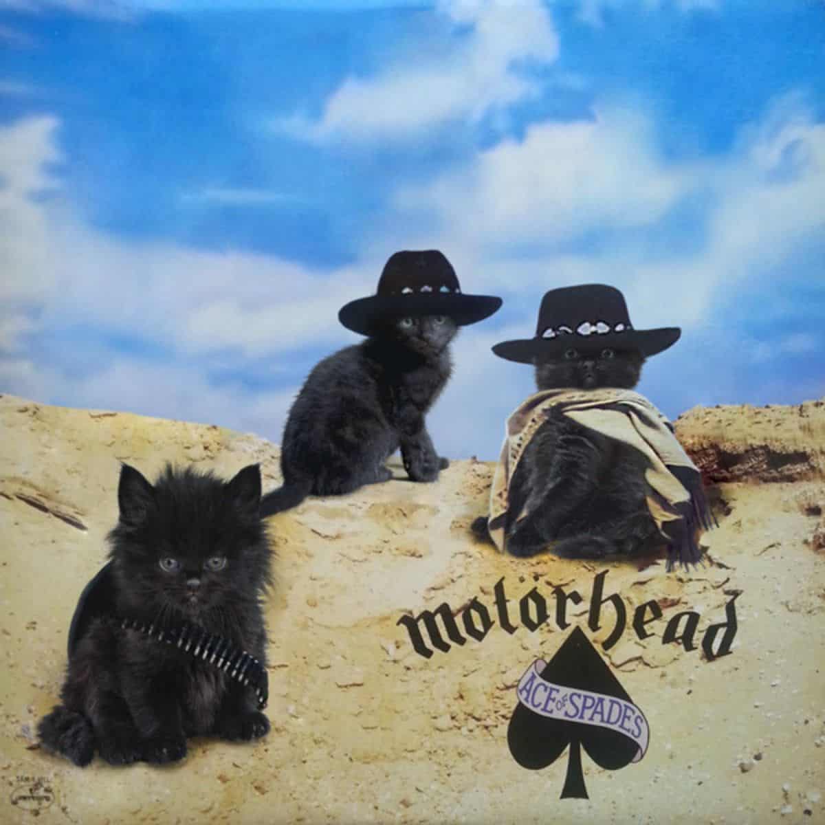 cat version of motorhead's album cover